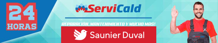 Reparación de calderas Saunier Duval en Villaverde